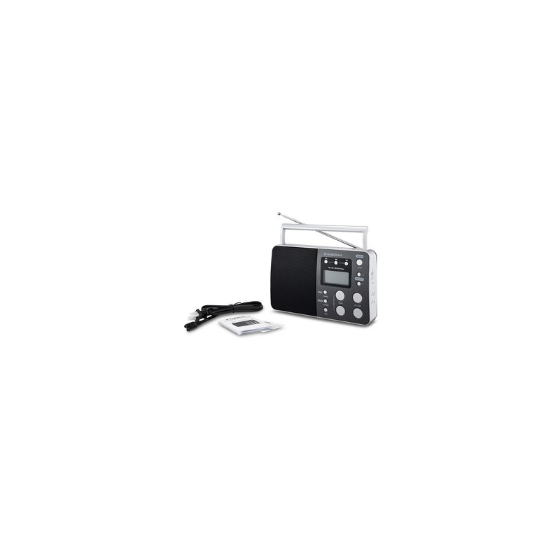Radio Digital RadioShack / Gris